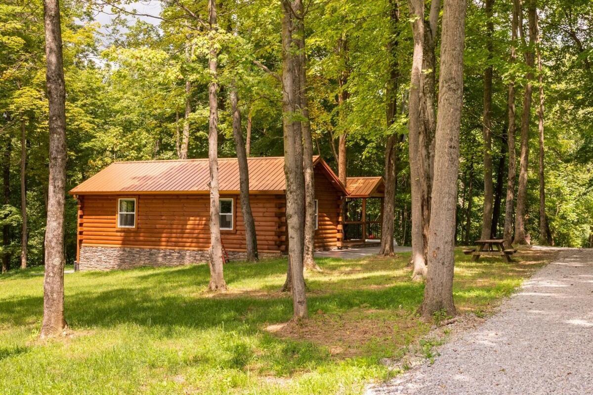 Secluded Wooded Cabin Near The Hocking Hills New Straitsville Eksteriør bilde